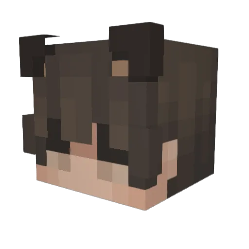 BrownMii Minecraft avatar head, 3D render