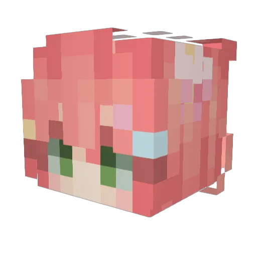 BrownRabbit1127 Minecraft avatar head, 3D render