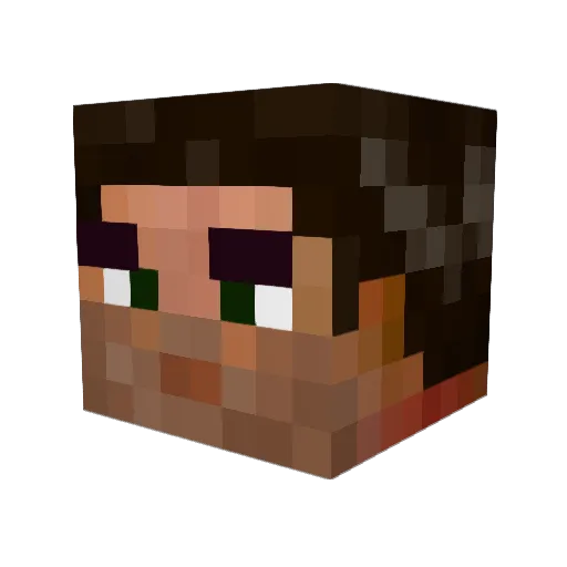 BrownSnow Minecraft avatar head, 3D render