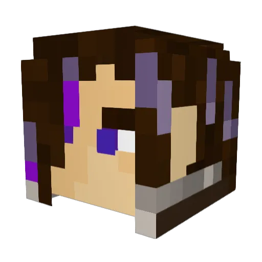 Browndj8 Minecraft avatar head, 3D render