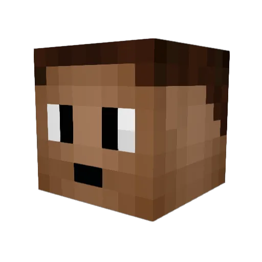 Brownie203 Minecraft avatar head, 3D render