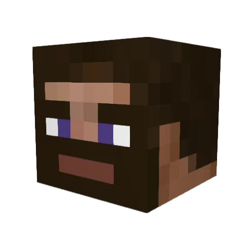Browny1499 Minecraft avatar head, 3D render