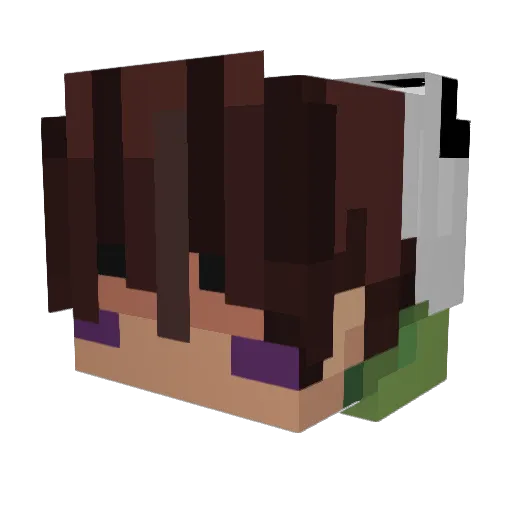 BrrBurr Minecraft avatar head, 3D render