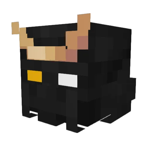BruSil Minecraft avatar head, 3D render