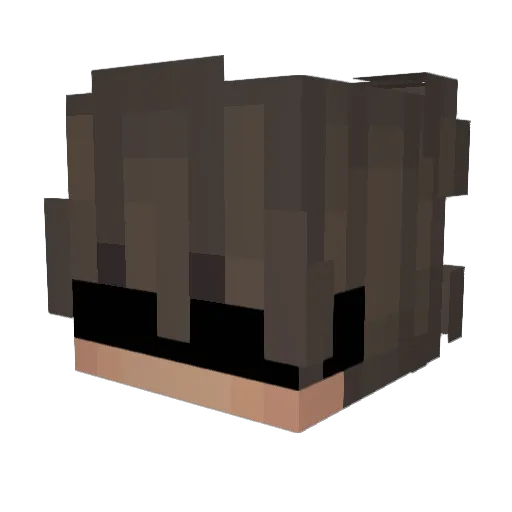 Bru______h Minecraft avatar head, 3D render