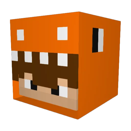Brubooo Minecraft avatar head, 3D render