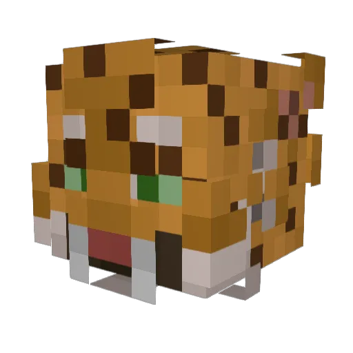 Bruce1547 Minecraft avatar head, 3D render