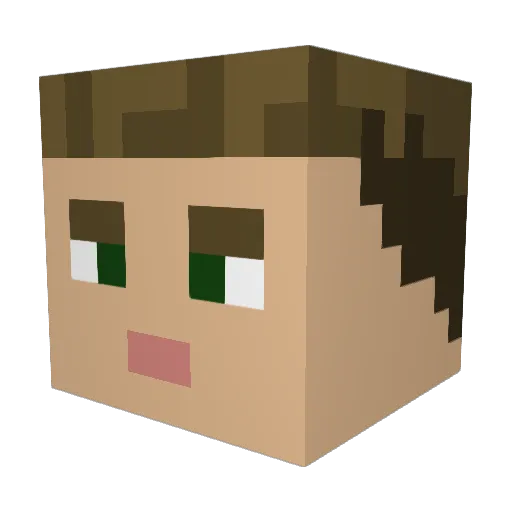 Bruce9999 Minecraft avatar head, 3D render