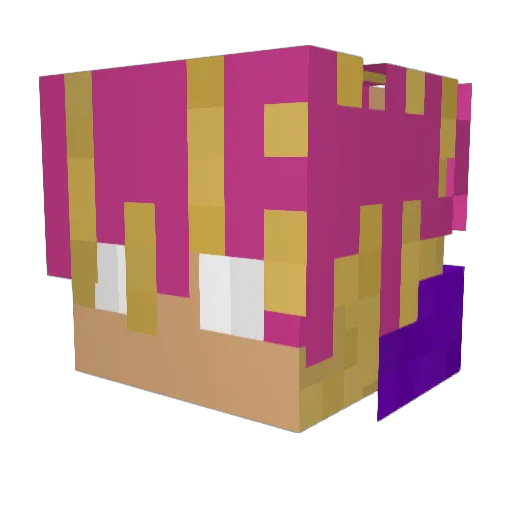 BruceBoy Minecraft avatar head, 3D render