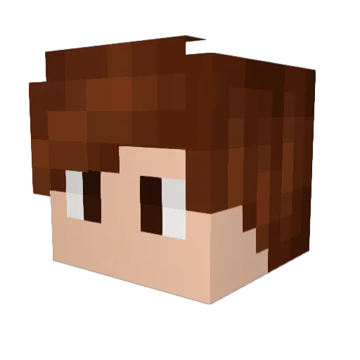 BruceGamer179 Minecraft avatar head, 3D render