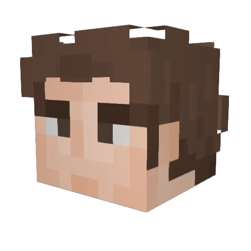 BruceWyn Minecraft avatar head, 3D render