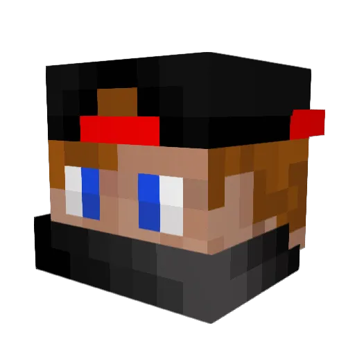 Bruce_2015 Minecraft avatar head, 3D render