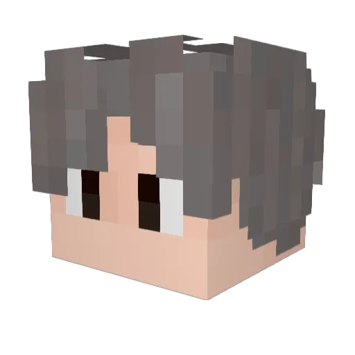 Bruce_bai Minecraft avatar head, 3D render