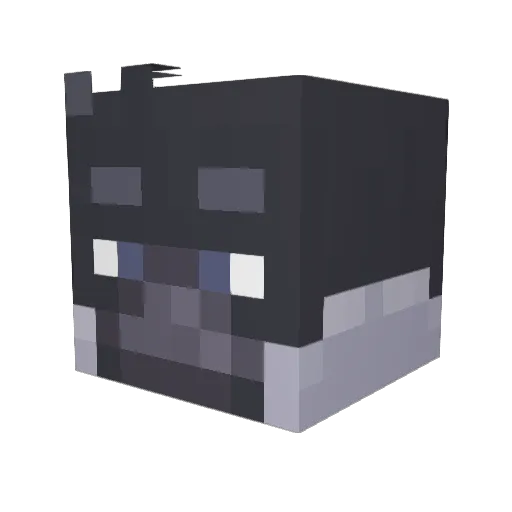 Brucecat Minecraft avatar head, 3D render
