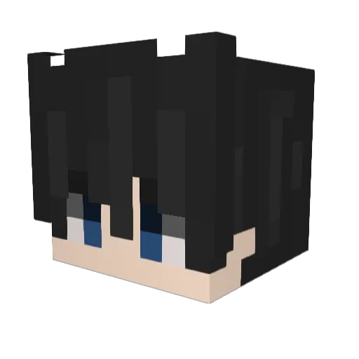Brucee67 Minecraft avatar head, 3D render