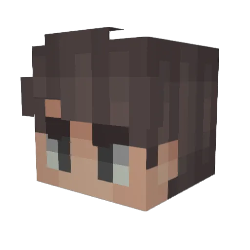 Bruceeee Minecraft avatar head, 3D render