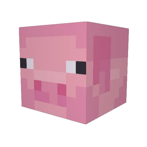 Brucemus Minecraft avatar head, 3D render