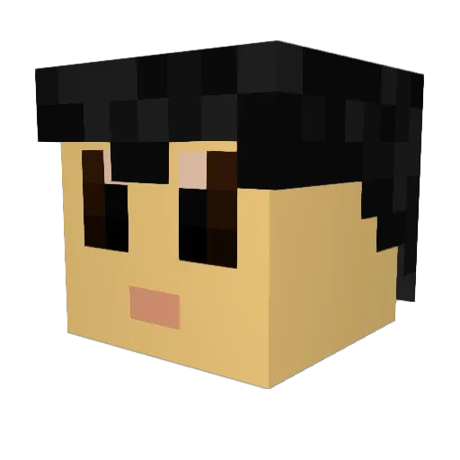 Brucey2211 Minecraft avatar head, 3D render