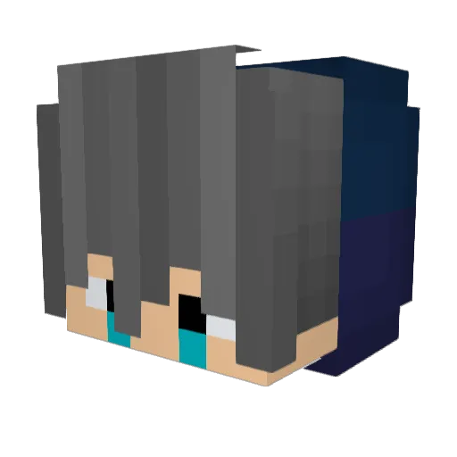 Bruch_rechnung Minecraft avatar head, 3D render