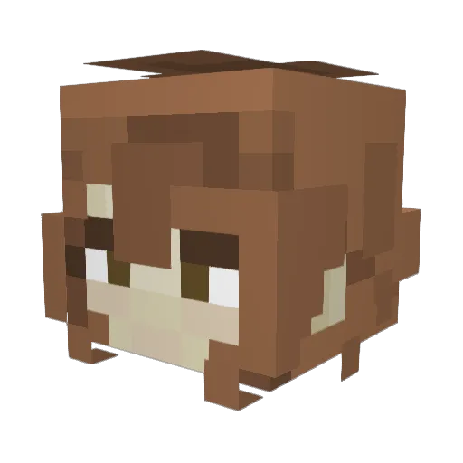 Bruck_ Minecraft avatar head, 3D render