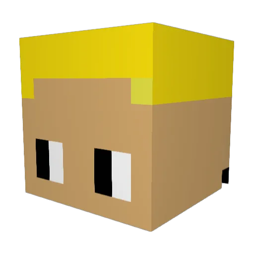Bruder2000 Minecraft avatar head, 3D render