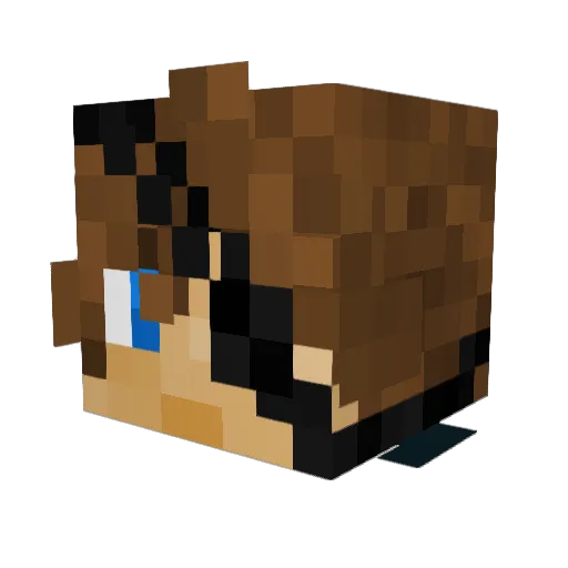 BruderTiz Minecraft avatar head, 3D render