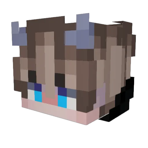 Bruflipz Minecraft avatar head, 3D render