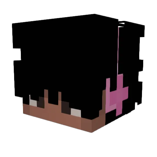 Bruh284 Minecraft avatar head, 3D render