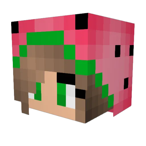 BruhCraft7 Minecraft avatar head, 3D render