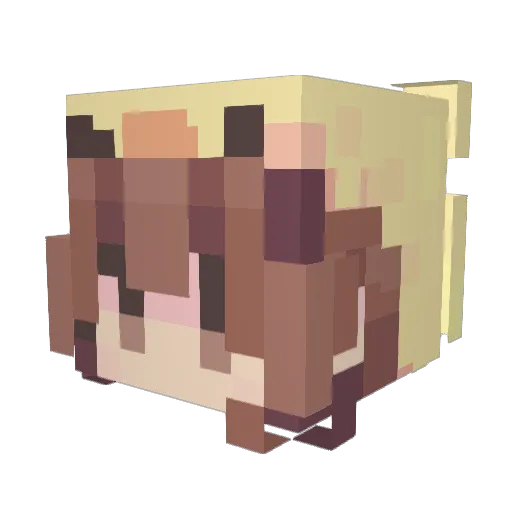 BruhEm Minecraft avatar head, 3D render