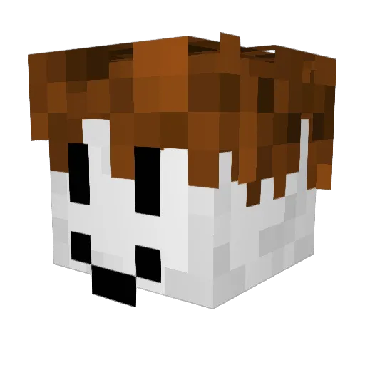 BruhM0ment0 Minecraft avatar head, 3D render