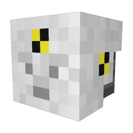 BruhMan599 Minecraft avatar head, 3D render