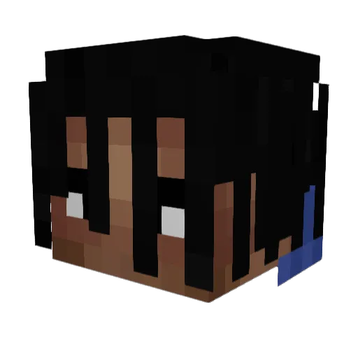 BruhWATdadogdoin Minecraft avatar head, 3D render