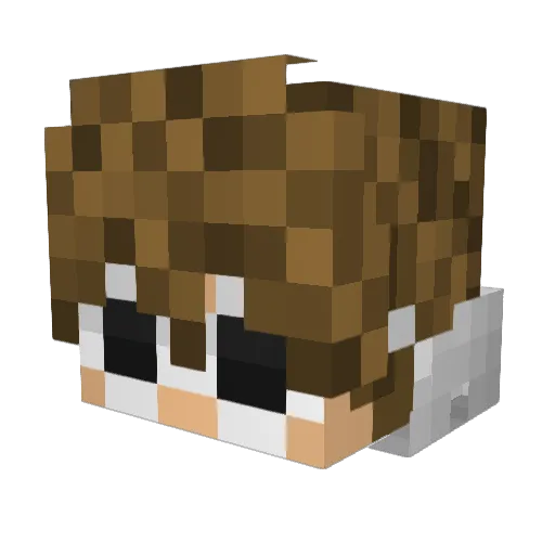 Bruh_Tomas Minecraft avatar head, 3D render