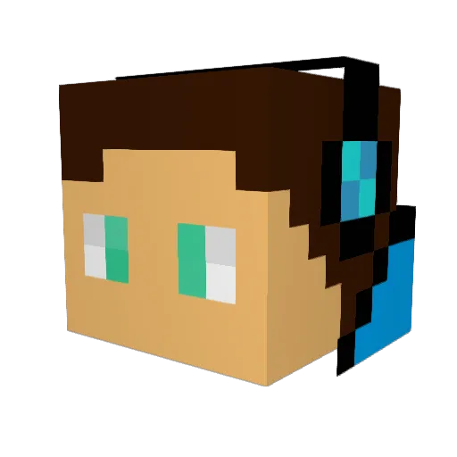 Bruhfin01 Minecraft avatar head, 3D render