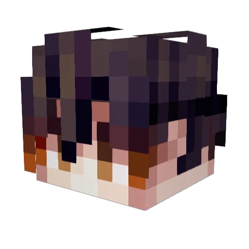 Bruhman1984 Minecraft avatar head, 3D render