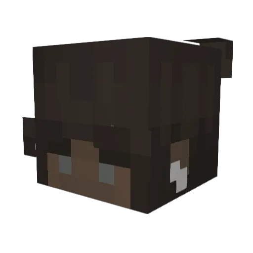 Bruhotron999 Minecraft avatar head, 3D render