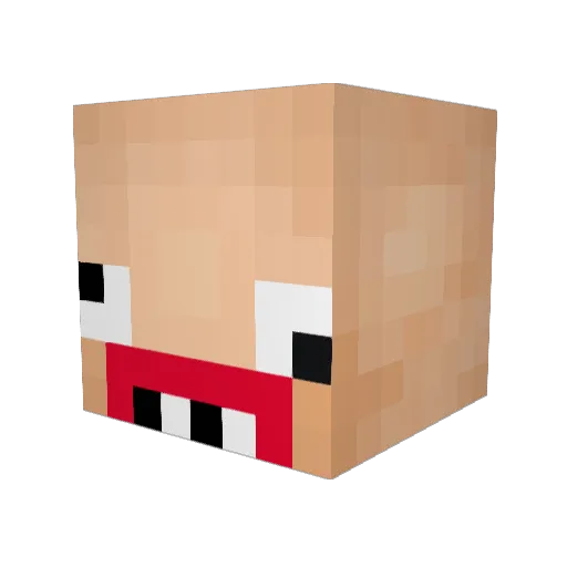 Bruhtticus Minecraft avatar head, 3D render