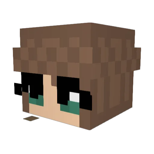 Bruici Minecraft avatar head, 3D render