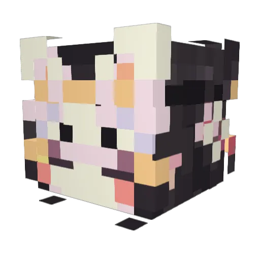 BrujaMaruja Minecraft avatar head, 3D render