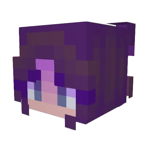 Brujaheria Minecraft avatar head, 3D render