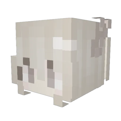 Brujo107 Minecraft avatar head, 3D render