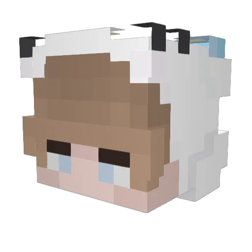 BrumNL Minecraft avatar head, 3D render