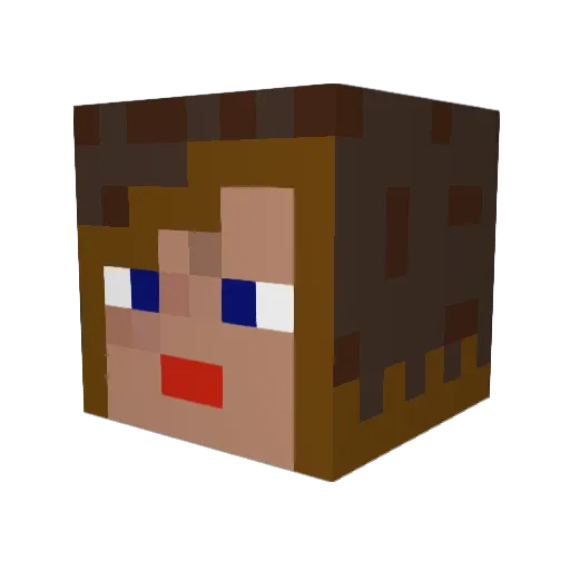 BrunaSorriso Minecraft avatar head, 3D render