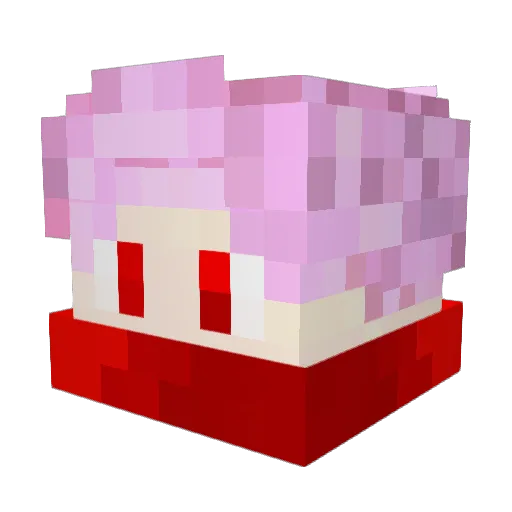 Brunazoo Minecraft avatar head, 3D render
