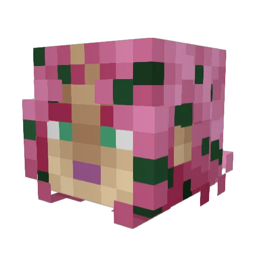Brunchsuch Minecraft avatar head, 3D render