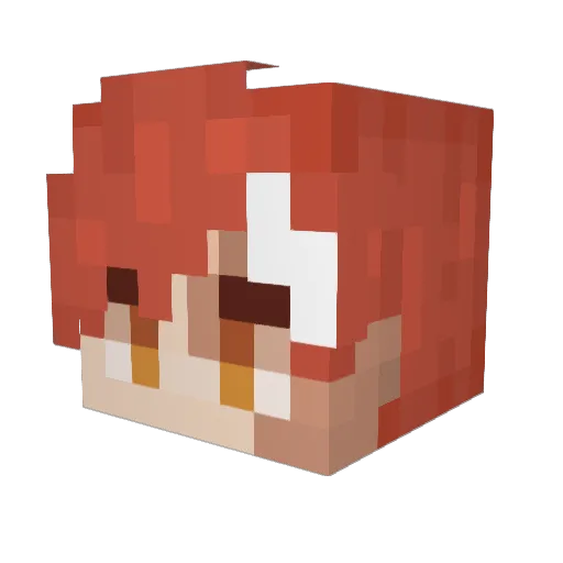 Bruneras Minecraft avatar head, 3D render