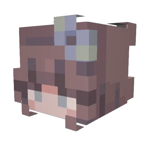 Brunettekitty Minecraft avatar head, 3D render