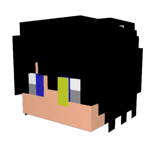 Bruninkkj__ Minecraft avatar head, 3D render