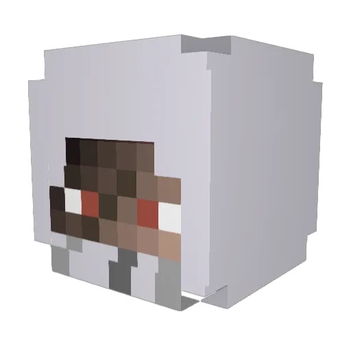 Bruninnn24 Minecraft avatar head, 3D render